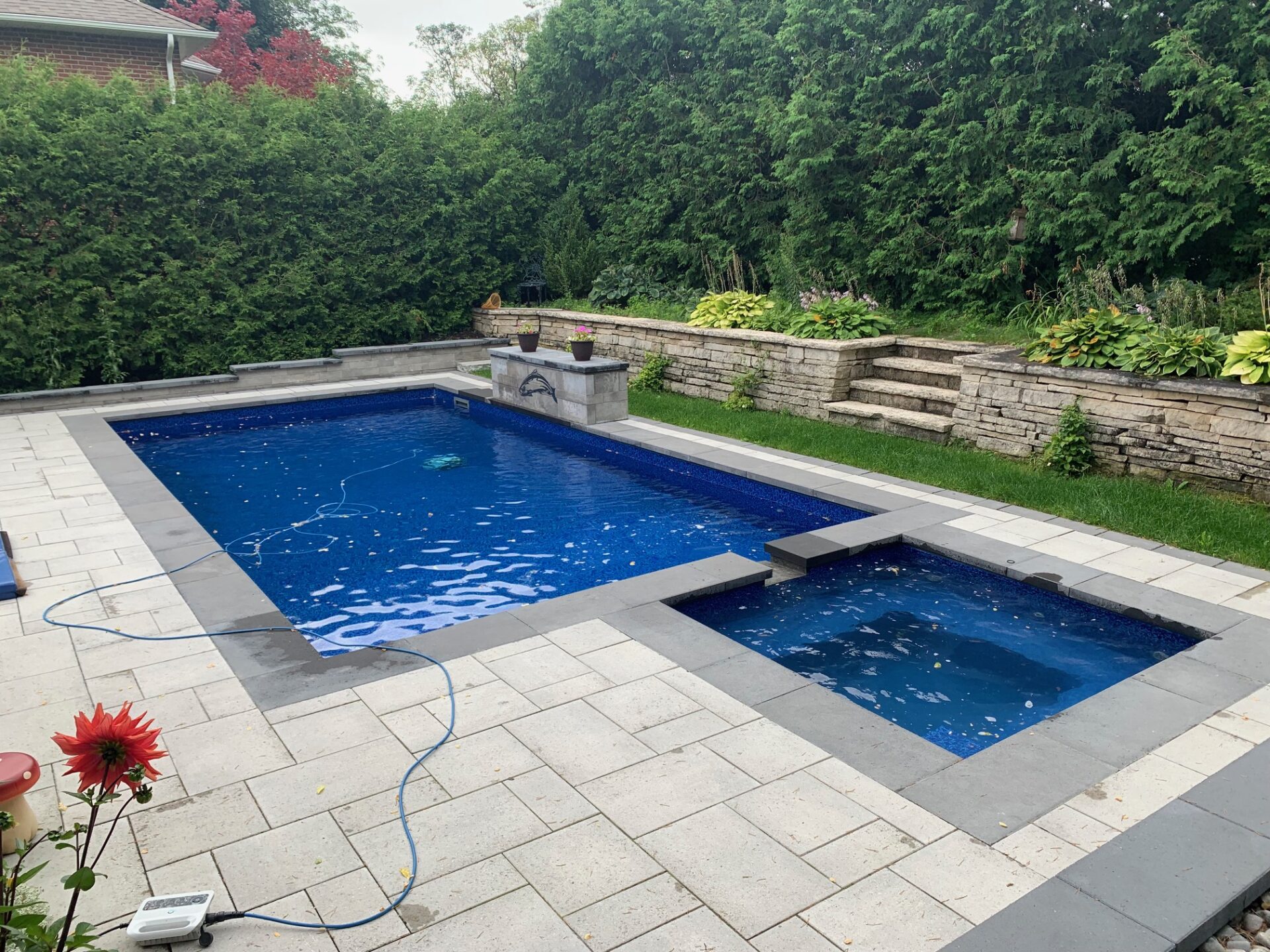 A backyard features a rectangular pool, surrounded by a stone patio and lush greenery, with a flower in the foreground.