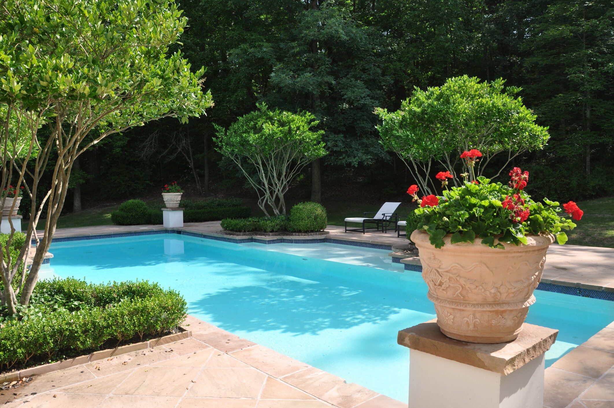 A tranquil swimming pool surrounds vibrant red flowers and lush greenery, bordered by trees and empty lounge chairs under a clear sky.